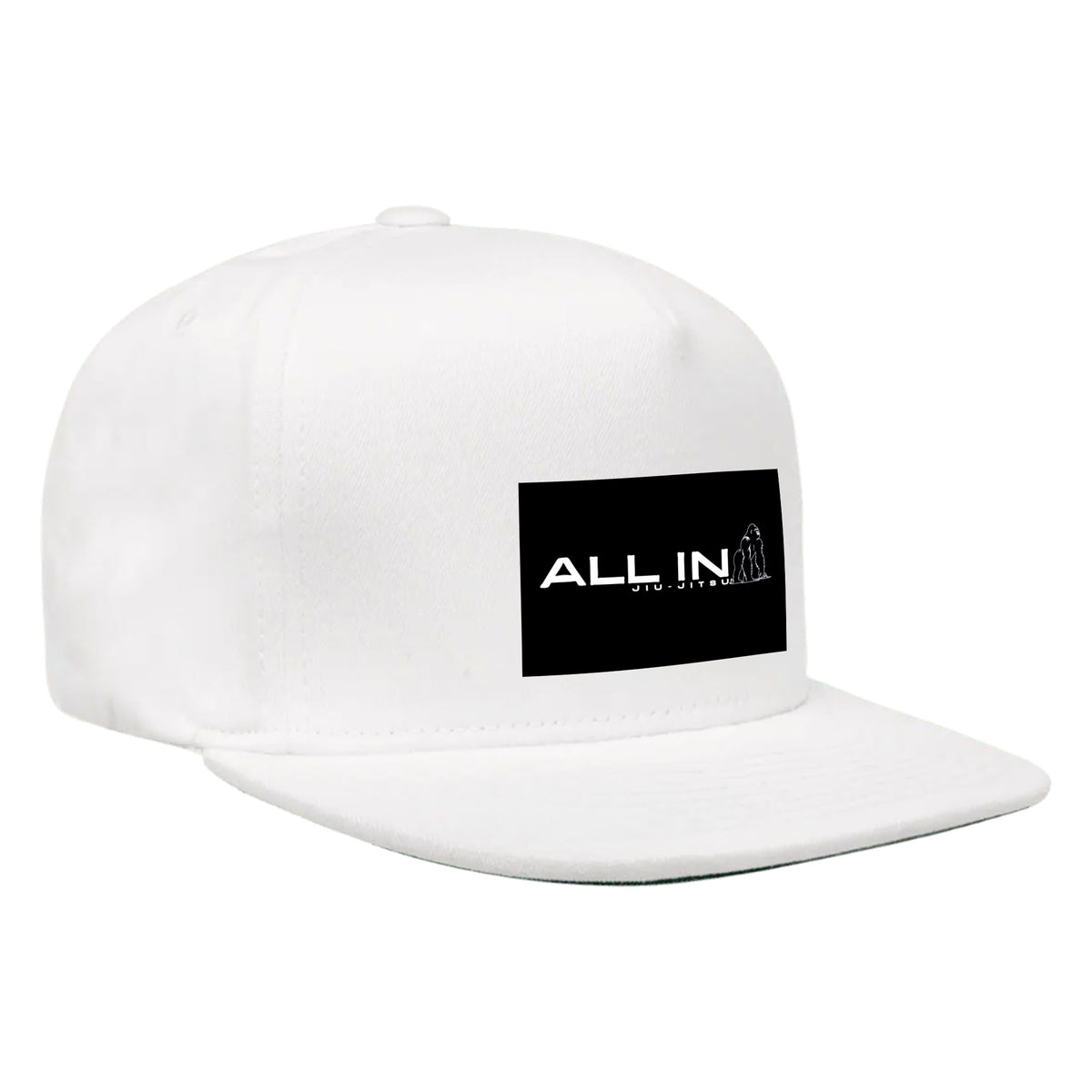 ALL IN Jiu Jitsu Academy Hats #8086 B