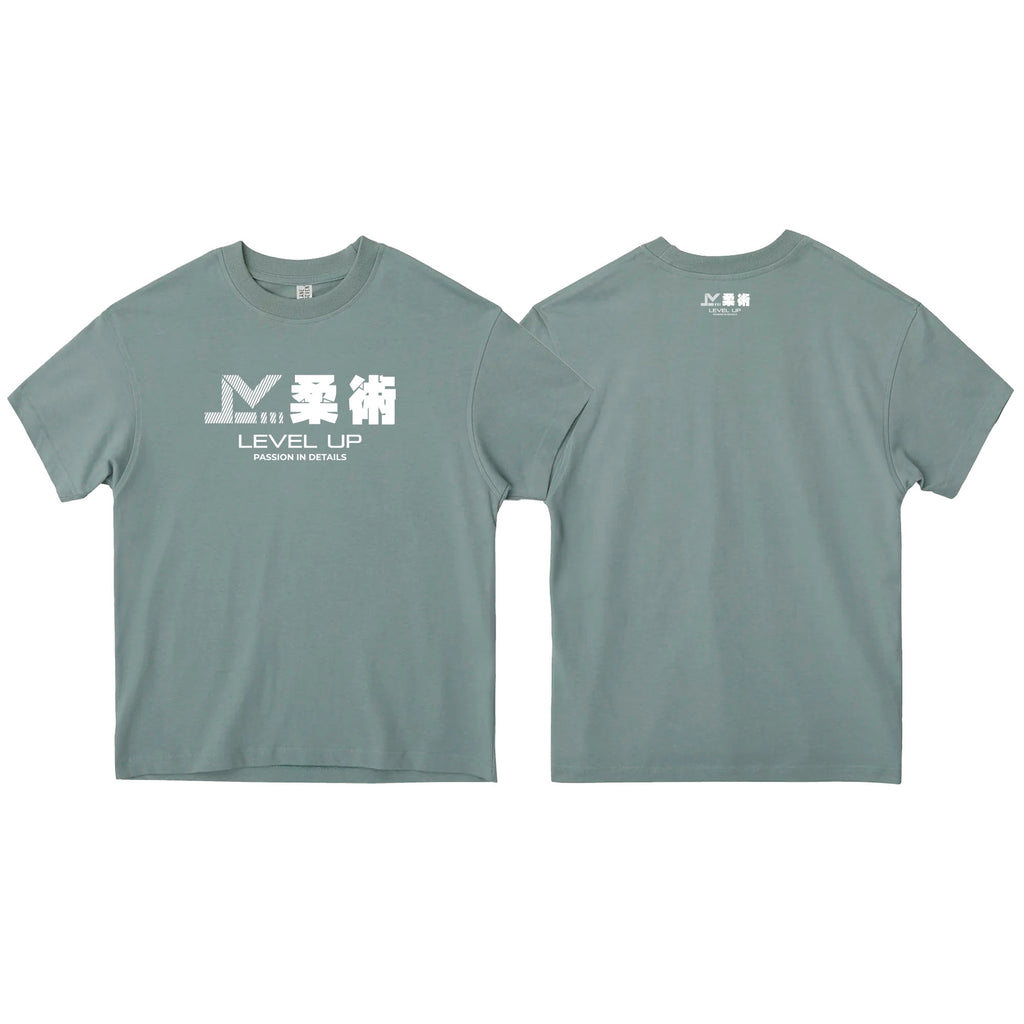 Level Up BJJ Oversized Adult Shirts #N (Passion)