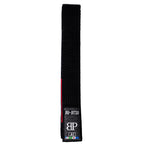 Break Point Jiu-Jitsu Black Belt